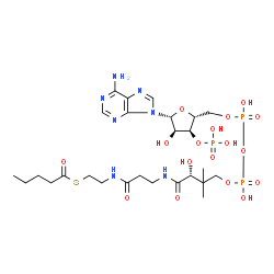 ChemSpider 2D Image | valeryl-CoA | C26H44N7O17P3S