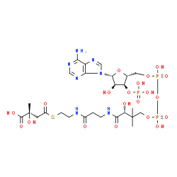 ChemSpider 2D Image | (3S)-Citramalyl-CoA | C26H42N7O20P3S