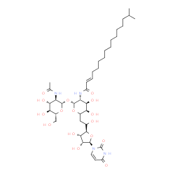 ChemSpider 2D Image | (2E)-N-[(2R,3R,4R,5R)-2-{[(2S,3R,4R,5S,6R)-3-Acetamido-4,5-dihydroxy-6-(hydroxymethyl)tetrahydro-2H-pyran-2-yl]oxy}-6-{(2R)-2-[(2R,3S,4R,5R)-5-(2,4-dioxo-3,4-dihydro-1(2H)-pyrimidinyl)-3,4-dihydroxyte
trahydro-2-furanyl]-2-hydroxyethyl}-4,5-dihydroxytetrahydro-2H-pyran-3-yl]-15-methyl-2-hexadecenamide | C40H66N4O16