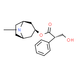 ChemSpider 2D Image | (S)-(-)-atropine | C17H23NO3