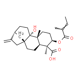 ChemSpider 2D Image | (3alpha,5beta,8alpha,9beta,10alpha,13alpha)-9-Hydroxy-3-{[(2E)-2-methyl-2-butenoyl]oxy}kaur-16-en-18-oic acid | C25H36O5