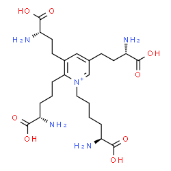 ChemSpider 2D Image | isodesmosine | C24H40N5O8