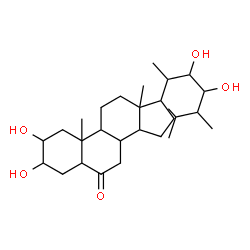 ChemSpider 2D Image | 2,3,22,23-Tetrahydroxyergostan-6-one | C28H48O5