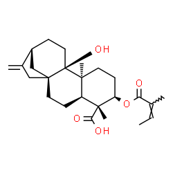ChemSpider 2D Image | (3alpha,5beta,8alpha,13alpha)-9-Hydroxy-3-{[(2Z)-2-methyl-2-butenoyl]oxy}kaur-16-en-19-oic acid | C25H36O5