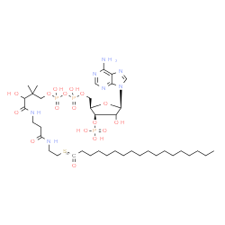 ChemSpider 2D Image | S-{1-[(2R,3R,5R)-5-(6-Amino-9H-purin-9-yl)-4-hydroxy-3-(phosphonooxy)tetrahydro-2-furanyl]-3,5,9-trihydroxy-8,8-dimethyl-3,5-dioxido-10,14-dioxo-2,4,6-trioxa-11,15-diaza-3lambda~5~,5lambda~5~-diphosph
aheptadecan-17-yl} (1-~14~C)octadecanethioate (non-preferred name) | C3814CH70N7O17P3S