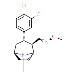 ChemSpider 2D Image | (E)-1-[(1S,2R,3S,5S)-3-(3,4-Dichlorophenyl)-8-methyl-8-azabicyclo[3.2.1]oct-2-yl]-N-methoxymethanimine | C16H20Cl2N2O
