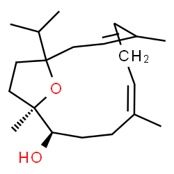 ChemSpider 2D Image | (1R,2R,5Z)-12-Isopropyl-1,5,9-trimethyl-15-oxabicyclo[10.2.1]pentadeca-5,9-dien-2-ol | C20H34O2
