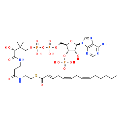 ChemSpider 2D Image | S-{(9R)-1-[(2R,3S,4R,5R)-5-(6-Amino-9H-purin-9-yl)-4-hydroxy-3-(phosphonooxy)tetrahydro-2-furanyl]-3,5,9-trihydroxy-8,8-dimethyl-3,5-dioxido-10,14-dioxo-2,4,6-trioxa-11,15-diaza-3lambda~5~,5lambda~5~-
diphosphaheptadecan-17-yl} (2E,5Z,8Z)-2,5,8-tetradecatrienethioate (non-preferred name) | C35H56N7O17P3S