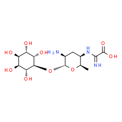 ChemSpider 2D Image | (1S,2R,3S,4R,5S,6S)-2,3,4,5,6-Pentahydroxycyclohexyl 2-amino-4-{[carboxy(imino)methyl]amino}-2,3,4,6-tetradeoxy-alpha-D-lyxo-hexopyranoside | C14H25N3O9