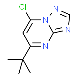 ChemSpider 2D Image | 5-tert-butyl-7-chloro[1,2,4]triazolo[1,5-a]pyrimidine | C9H11ClN4