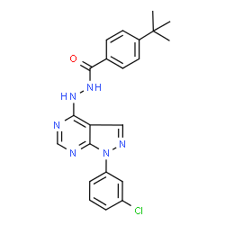 ChemSpider 2D Image | 4-tert-Butyl-N'-[1-(3-chlorophenyl)-1H-pyrazolo[3,4-d]pyrimidin-4-yl]benzohydrazide | C22H21ClN6O
