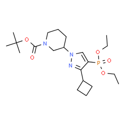 ChemSpider 2D Image | 2-Methyl-2-propanyl 3-[3-cyclobutyl-4-(diethoxyphosphoryl)-1H-pyrazol-1-yl]-1-piperidinecarboxylate | C21H36N3O5P