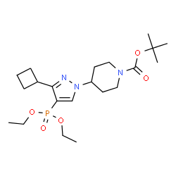 ChemSpider 2D Image | 2-Methyl-2-propanyl 4-[3-cyclobutyl-4-(diethoxyphosphoryl)-1H-pyrazol-1-yl]-1-piperidinecarboxylate | C21H36N3O5P