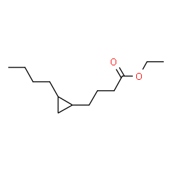 ChemSpider 2D Image | Ethyl 2-butylcyclopropanebutanoate | C13H24O2