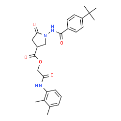 ChemSpider 2D Image | 2-[(2,3-Dimethylphenyl)amino]-2-oxoethyl 1-[(4-tert-butylbenzoyl)amino]-5-oxopyrrolidine-3-carboxylate | C26H31N3O5