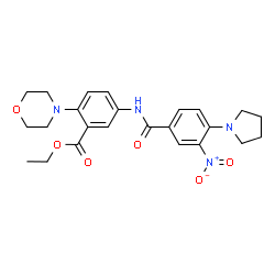 ChemSpider 2D Image | Ethyl 2-(4-morpholinyl)-5-{[3-nitro-4-(1-pyrrolidinyl)benzoyl]amino}benzoate | C24H28N4O6