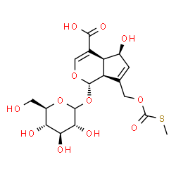 ChemSpider 2D Image | (1S,4aS,5S,7aS)-1-(D-Glucopyranosyloxy)-5-hydroxy-7-({[(methylsulfanyl)carbonyl]oxy}methyl)-1,4a,5,7a-tetrahydrocyclopenta[c]pyran-4-carboxylic acid | C18H24O12S