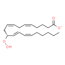 ChemSpider 2D Image | (5Z,8Z,11R,12E,14Z)-11-Hydroperoxy-5,8,12,14-icosatetraenoate | C20H31O4