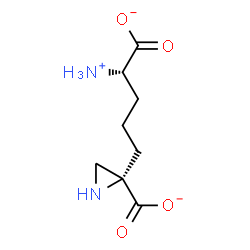 ChemSpider 2D Image | (2S)-2-[(4S)-4-Ammonio-4-carboxylatobutyl]-2-aziridinecarboxylate | C8H13N2O4