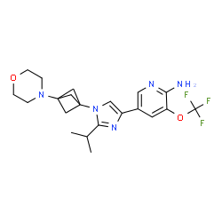 ChemSpider 2D Image | 5-{2-Isopropyl-1-[3-(4-morpholinyl)bicyclo[1.1.1]pent-1-yl]-1H-imidazol-4-yl}-3-(trifluoromethoxy)-2-pyridinamine | C21H26F3N5O2