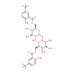 ChemSpider 2D Image | 6-O-[2-Hydroxy-5-(2-methyl-2-propanyl)benzoyl]-alpha-D-glucopyranosyl 6-O-[2-hydroxy-5-(2-methyl-2-propanyl)benzoyl]-alpha-D-glucopyranoside | C34H46O15