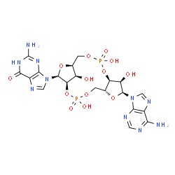 ChemSpider 2D Image | 2-Amino-9-[(1R,6R,8S,9R,10S,15S,17S,18R)-8-(6-amino-9H-purin-9-yl)-3,9,12,18-tetrahydroxy-3,12-dioxido-2,4,7,11,13,16-hexaoxa-3,12-diphosphatricyclo[13.2.1.0~6,10~]octadec-17-yl]-1,9-dihydro-6H-purin-
6-one | C20H24N10O13P2