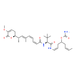 ChemSpider 2D Image | (1Z,6Z)-1-[(N-{(2Z,4Z,6E,8S)-8-[(2S)-5-Methoxy-6-oxo-3,6-dihydro-2H-pyran-2-yl]-6-methyl-2,4,6-nonatrienoyl}-3-methyl-L-valyl)amino]-1,6-octadien-4-yl carbamate | C31H45N3O7