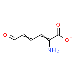 ChemSpider 2D Image | (2Z,4E)-2-Amino-6-oxo-2,4-hexadienoate | C6H6NO3