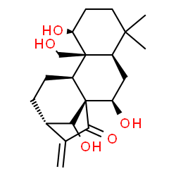 ChemSpider 2D Image | (1alpha,5beta,7alpha,8alpha,9beta,10alpha,13alpha,14R)-1,7,14,20-Tetrahydroxykaur-16-en-15-one | C20H30O5