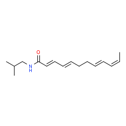 ChemSpider 2D Image | (2E,4E,8E,10Z)-N-Isobutyl-2,4,8,10-dodecatetraenamide | C16H25NO