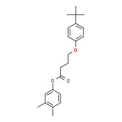ChemSpider 2D Image | 3,4-Dimethylphenyl 4-(4-tert-butylphenoxy)butanoate | C22H28O3