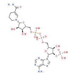 ChemSpider 2D Image | [[(2r,3s,4r,5r)-5-(5-Aminocarbonyl-3,4-Dihydro-2h-Pyridin-1-Yl)-3,4-Bis(Oxidanyl)oxolan-2-Yl]methoxy-Oxidanyl-Phosphoryl] [(2r,3r,4r,5r)-5-(6-Aminopurin-9-Yl)-3-Oxidanyl-4-Phosphonooxy-Oxolan-2-Yl]methyl Hydrogen Phosphate | C21H32N7O17P3
