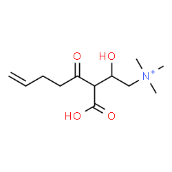 ChemSpider 2D Image | 3-Carboxy-2-hydroxy-N,N,N-trimethyl-4-oxo-7-octen-1-aminium | C12H22NO4