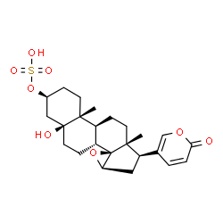 ChemSpider 2D Image | (3beta,5beta,15beta)-5-Hydroxy-3-(sulfooxy)-14,15-epoxybufa-20,22-dienolide | C24H32O8S