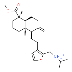 ChemSpider 2D Image | N-[(3-{2-[(1R,4aS,5R,8aR)-5-(Methoxycarbonyl)-5,8a-dimethyl-2-methylenedecahydro-1-naphthalenyl]ethyl}-2-furyl)methyl]-2-propanaminium | C25H40NO3