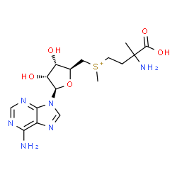 ChemSpider 2D Image | (3-Amino-3-carboxybutyl){[(2S,3S,4R,5R)-5-(6-amino-9H-purin-9-yl)-3,4-dihydroxytetrahydro-2-furanyl]methyl}methylsulfonium | C16H25N6O5S