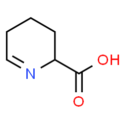 ChemSpider 2D Image | 1-piperideine-6-carboxylic acid | C6H9NO2