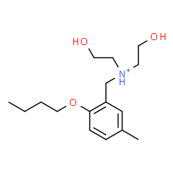 ChemSpider 2D Image | N-(2-Butoxy-5-methylbenzyl)-2-hydroxy-N-(2-hydroxyethyl)ethanaminium | C16H28NO3