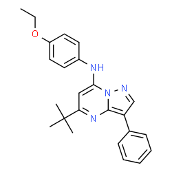 ChemSpider 2D Image | N-(4-Ethoxyphenyl)-5-(2-methyl-2-propanyl)-3-phenylpyrazolo[1,5-a]pyrimidin-7-amine | C24H26N4O