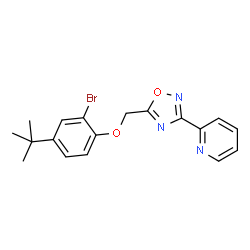 ChemSpider 2D Image | 2-(5-{[2-Bromo-4-(2-methyl-2-propanyl)phenoxy]methyl}-1,2,4-oxadiazol-3-yl)pyridine | C18H18BrN3O2
