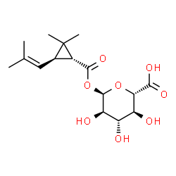 ChemSpider 2D Image | 1-O-{[(1R,3R)-2,2-Dimethyl-3-(2-methyl-1-propen-1-yl)cyclopropyl]carbonyl}-alpha-D-glucopyranuronic acid | C16H24O8