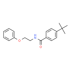 ChemSpider 2D Image | 4-(2-Methyl-2-propanyl)-N-(2-phenoxyethyl)benzamide | C19H23NO2