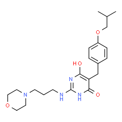 ChemSpider 2D Image | 6-Hydroxy-5-(4-isobutoxybenzyl)-2-{[3-(4-morpholinyl)propyl]amino}-4(3H)-pyrimidinone | C22H32N4O4