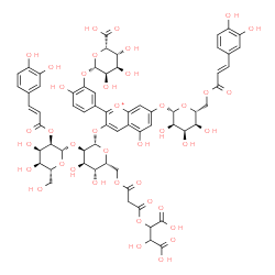 ChemSpider 2D Image | 2-[3-[[(2R,3R,4R,5R,6S)-6-[2-[3-[(2S,3R,4R,5R,6S)-6-carboxy-3,4,5-trihydroxy-tetrahydropyran-2-yl]oxy-4-hydroxy-phenyl]-7-[(2S,3R,4R,5S,6R)-6-[[(E)-3-(3,4-dihydroxyphenyl)prop-2-enoyl]oxymethyl]-3,4,5-trihydroxy-tetrahydropyran-2-yl]oxy-5-hydroxy-chromenylium-3-yl]oxy-5-[(2S,3R,4R,5S,6R)-3-[(E)-3-(3,4-dihydroxyphenyl)prop-2-enoyl]oxy-4,5-dihydroxy-6-(hydroxymethyl)tetrahydropyran-2-yl]oxy-3,4-dihydroxy-tetrahydropyran-2-yl]methoxy]-3-oxo-propanoyl]oxy-3-hydroxy-butanedioic acid | C64H67O41