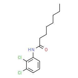 ChemSpider 2D Image | N-(2,3-Dichlorophenyl)octanamide | C14H19Cl2NO