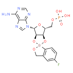 ChemSpider 2D Image | [(1S,5R,6R,8R)-6-(6-aminopurin-9-yl)-4'-fluoro-spiro[2,4,7-trioxa-3-boranuidabicyclo[3.3.0]octane-3,9'-8-oxa-9-boranuidabicyclo[4.3.0]nona-1(6),2,4-triene]-8-yl]methyl dihydrogen phosphate | C17H17BFN5O8P