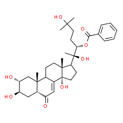 ChemSpider 2D Image | (2alpha,3beta,5beta,9xi,17xi,22S)-2,3,14,20,25-Pentahydroxy-6-oxocholest-7-en-22-yl benzoate | C34H48O8