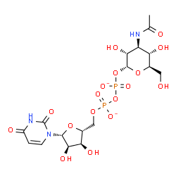ChemSpider 2D Image | [(2R,3R,4S,5S,6R)-4-acetamido-3,5-dihydroxy-6-(hydroxymethyl)tetrahydropyran-2-yl] [[(2R,3S,4R,5R)-5-(2,4-dioxopyrimidin-1-yl)-3,4-dihydroxy-tetrahydrofuran-2-yl]methoxy-oxido-phosphoryl] phosphate | C17H25N3O17P2