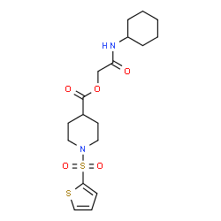 ChemSpider 2D Image | 2-(Cyclohexylamino)-2-oxoethyl 1-(2-thienylsulfonyl)-4-piperidinecarboxylate | C18H26N2O5S2