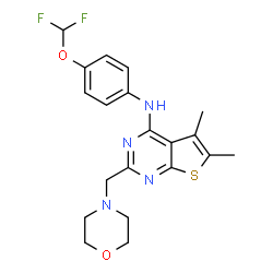 ChemSpider 2D Image | N-[4-(Difluoromethoxy)phenyl]-5,6-dimethyl-2-(4-morpholinylmethyl)thieno[2,3-d]pyrimidin-4-amine | C20H22F2N4O2S